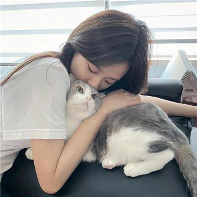小美男鱼